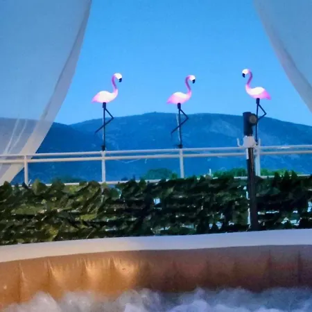 Delphitea Philoxenia *